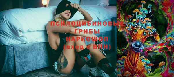 мдпв Осинники