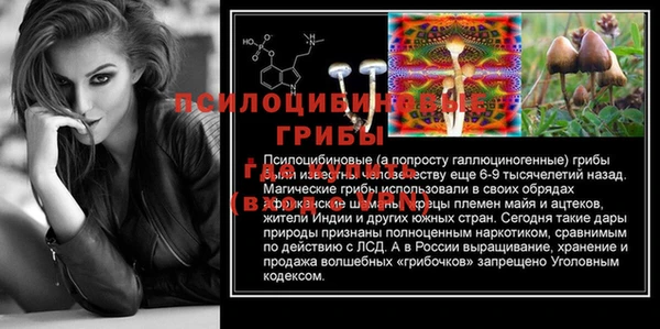 амф Алексеевка