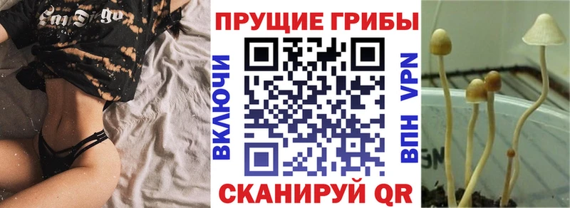 Галлюциногенные грибы Magic Shrooms Безенчук
